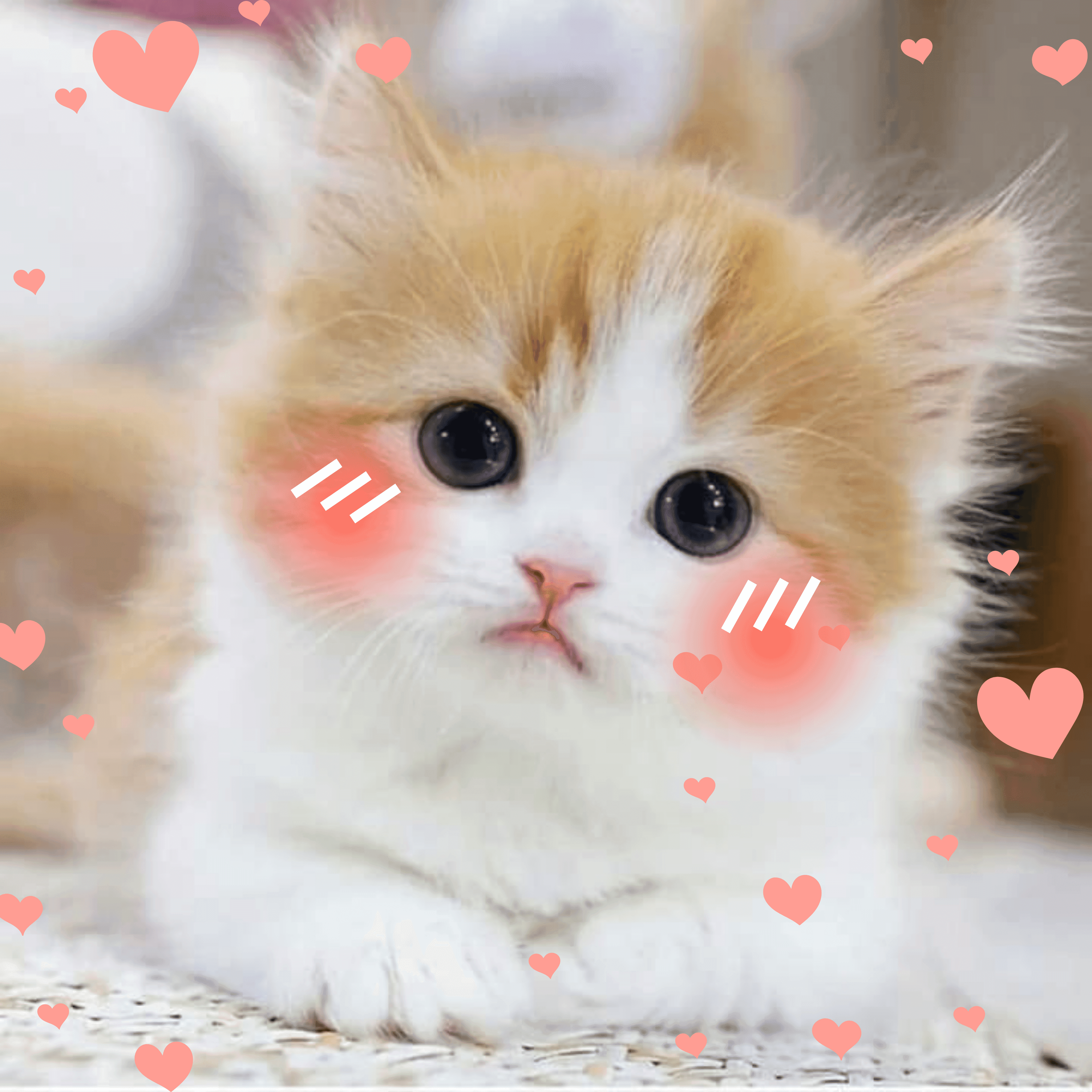 Hasan